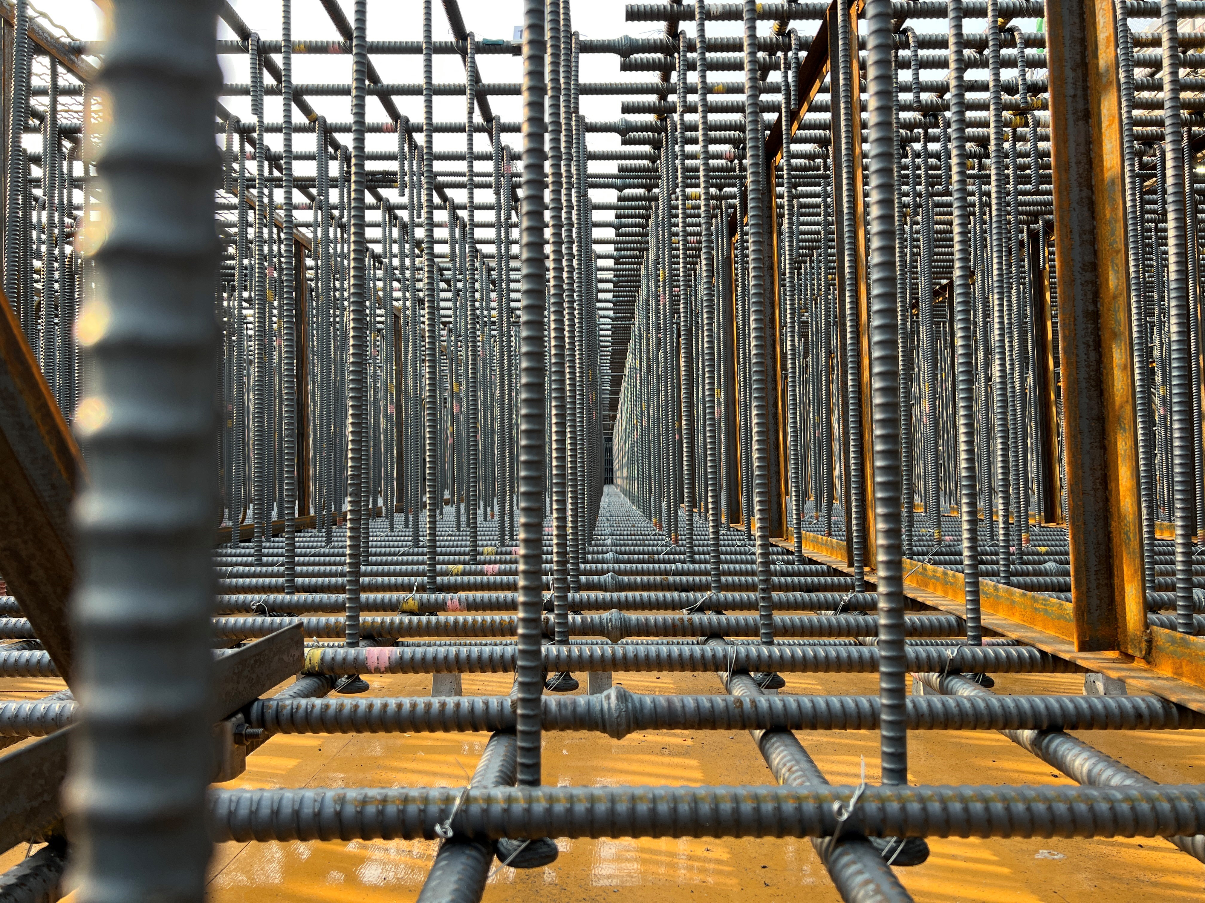 「rebar forest_鉄筋の森」